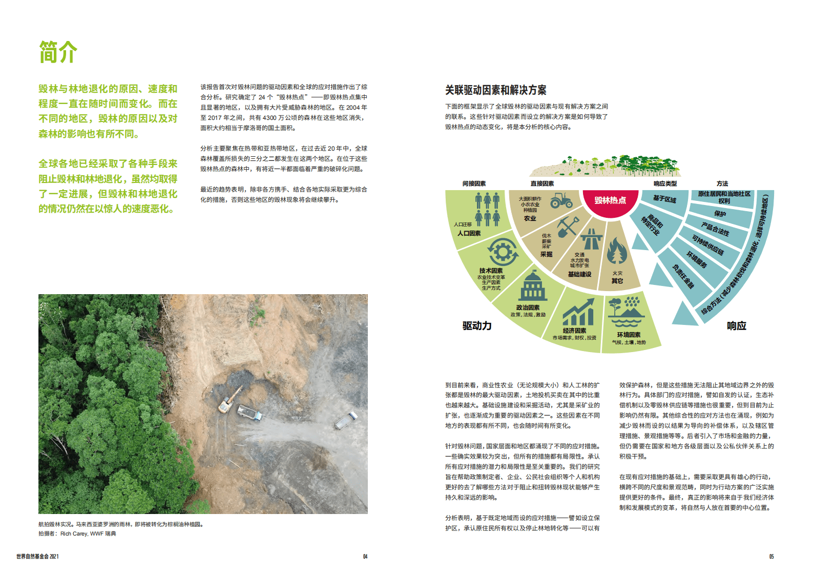 WWF：全球森林生命力展望&mdash;&mdash;保护现状与对策》报告摘要.pdf 第3页