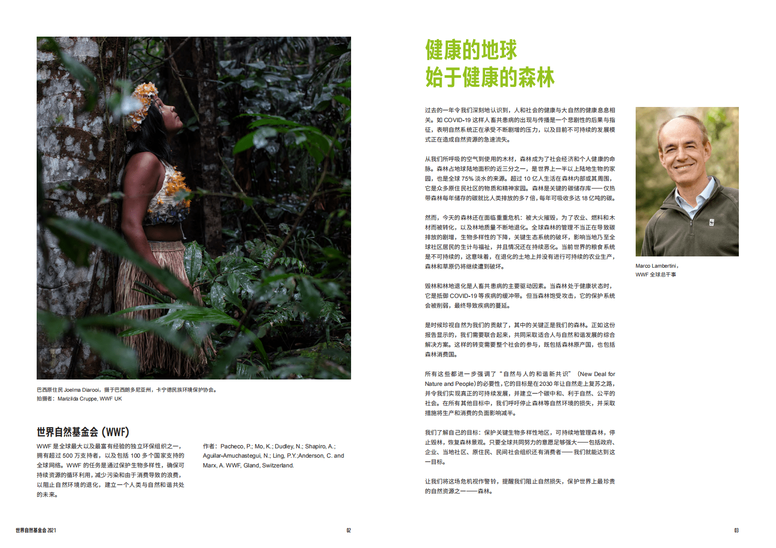WWF：全球森林生命力展望&mdash;&mdash;保护现状与对策》报告摘要.pdf 第2页