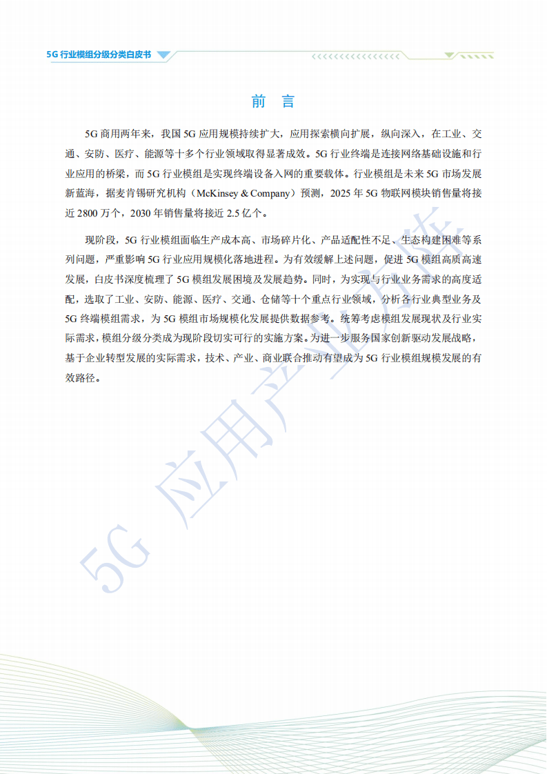 5G应用产业方阵：5G行业模组分级分类白皮书.pdf 第2页