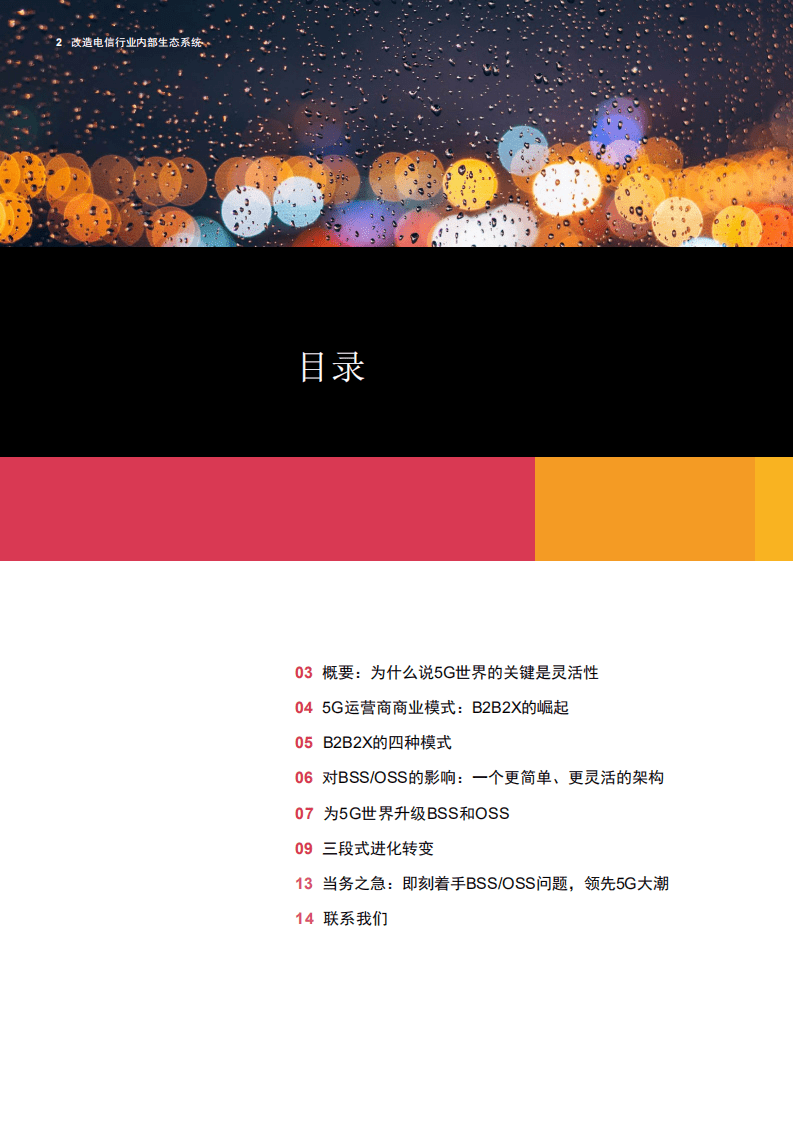普华永道：改造电信行业内部生态系统：反思5G时代的业务支撑系统（BSS）和运营支撑系统（OSS）.pdf 第2页