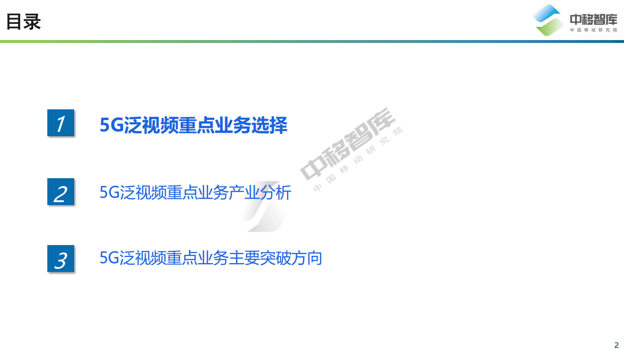 中移智库：5G泛视频重点业务产业分析.pdf 第2页