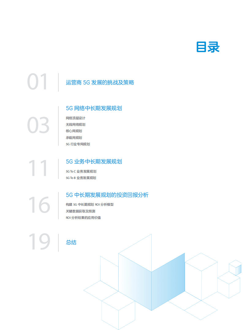 中兴：运营商5G中长期发展规划白皮书.pdf 第2页