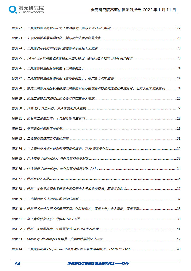 蛋壳研究院：医疗器械行业赛道估值报告系列之TMV（经导管二尖瓣器械）：突围二尖瓣，百亿美金，十八般兵器与三重门.pdf 第6页