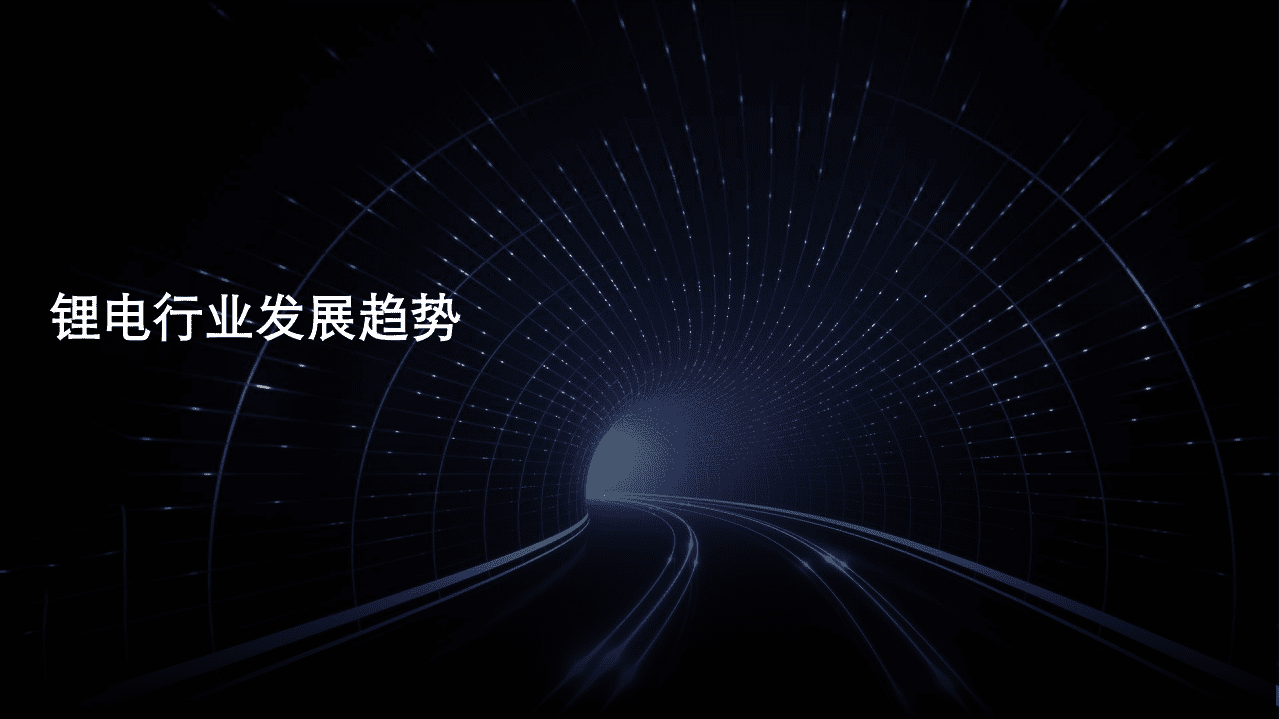 德勤：中国锂电行业发展德勤观察（2021）.pdf 第3页