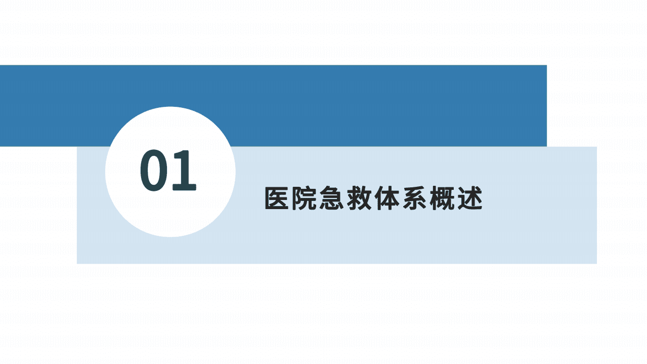 健康界：医院急救体系建设研究.pdf 第6页