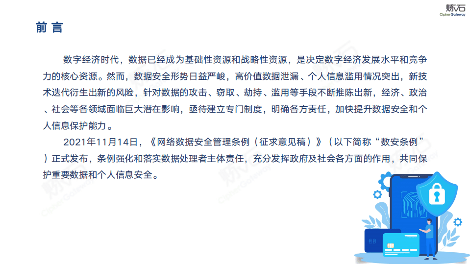 炼石网络：网络安全行业：图解《网络数据安全管理条例（征求意见稿）》 及数据安全技术体系.pdf 第3页