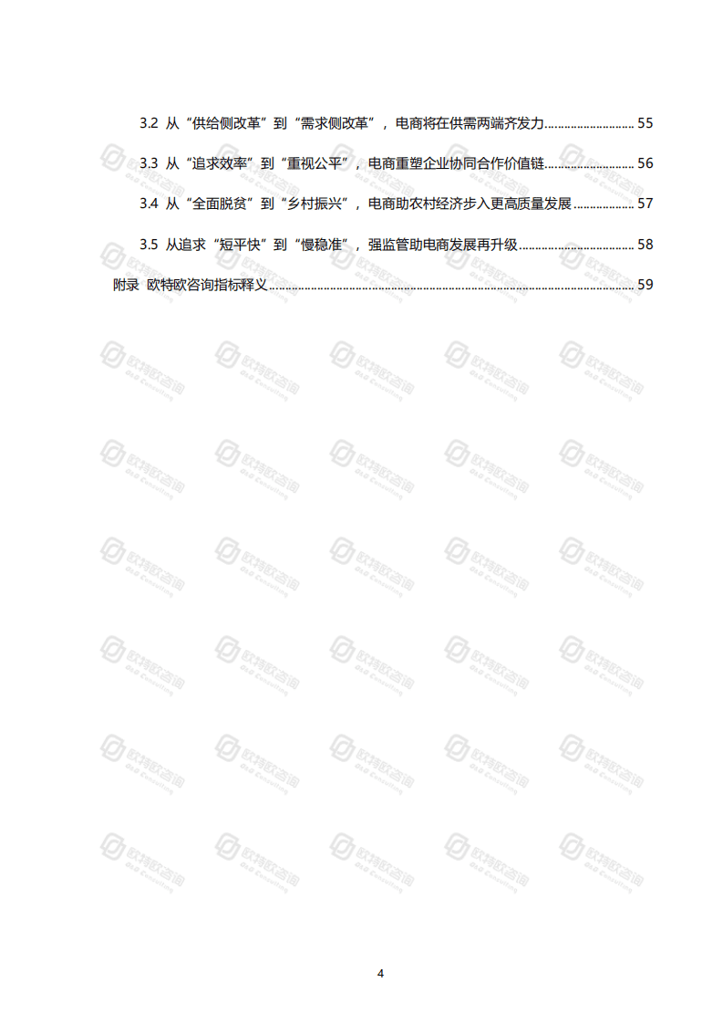 欧特欧咨询：2020中国网络零售发展研究报告.pdf 第4页