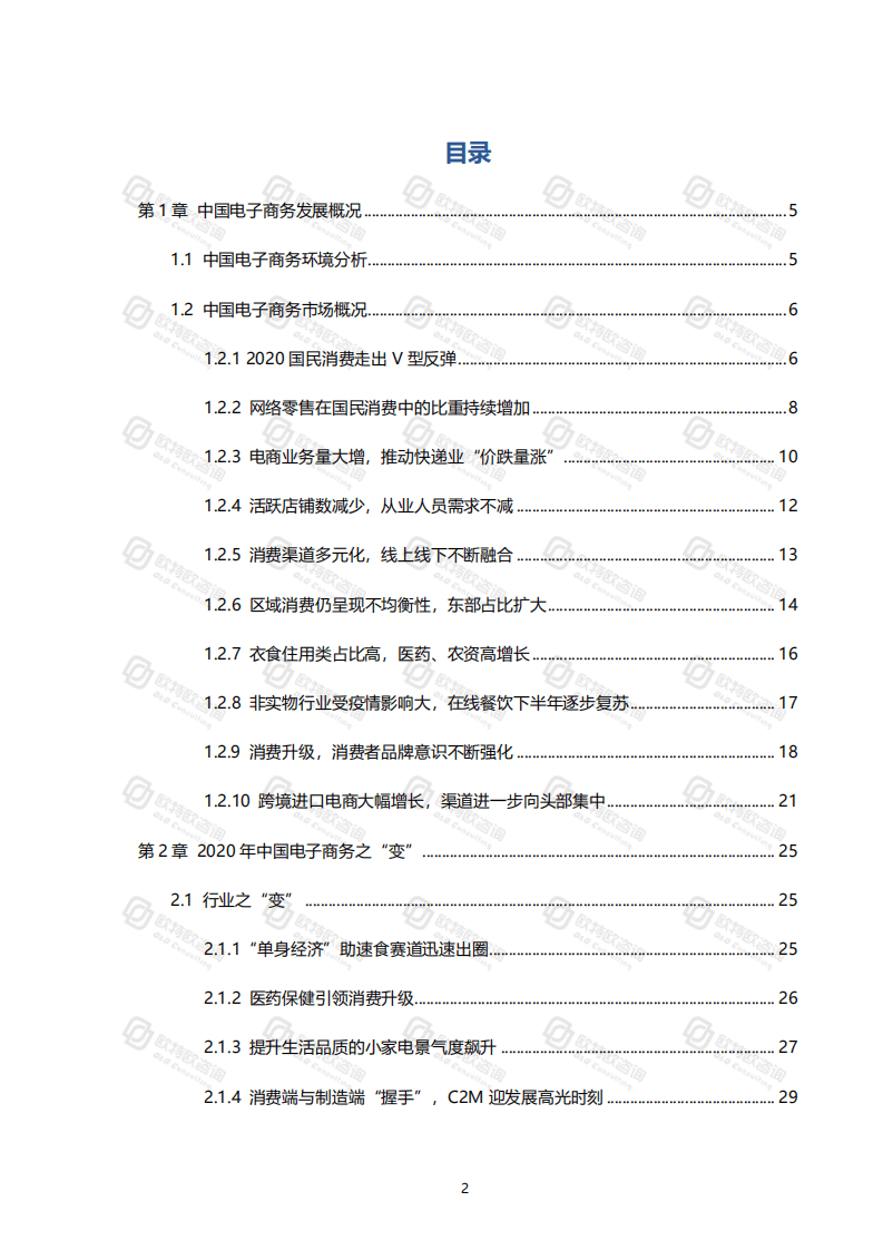 欧特欧咨询：2020中国网络零售发展研究报告.pdf 第2页