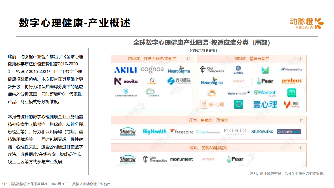 动脉网：全球数字心理健康价值趋势报告2015-2021年H1.pdf 第4页