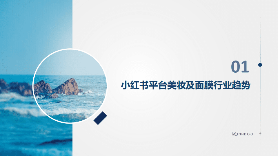 闻道网络：2020小红书面膜市场洞察.pdf 第4页