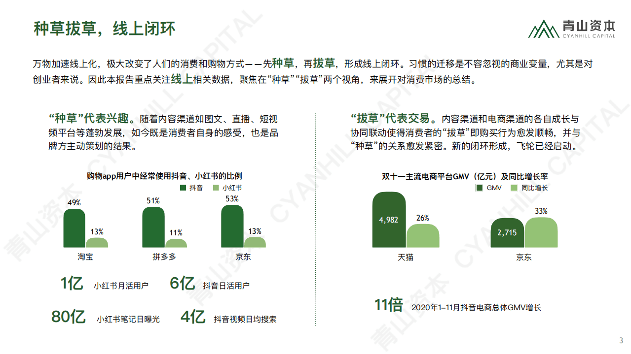 青山资本：时代造新王《2020中国消费品线上市场研究报告》.pdf 第3页