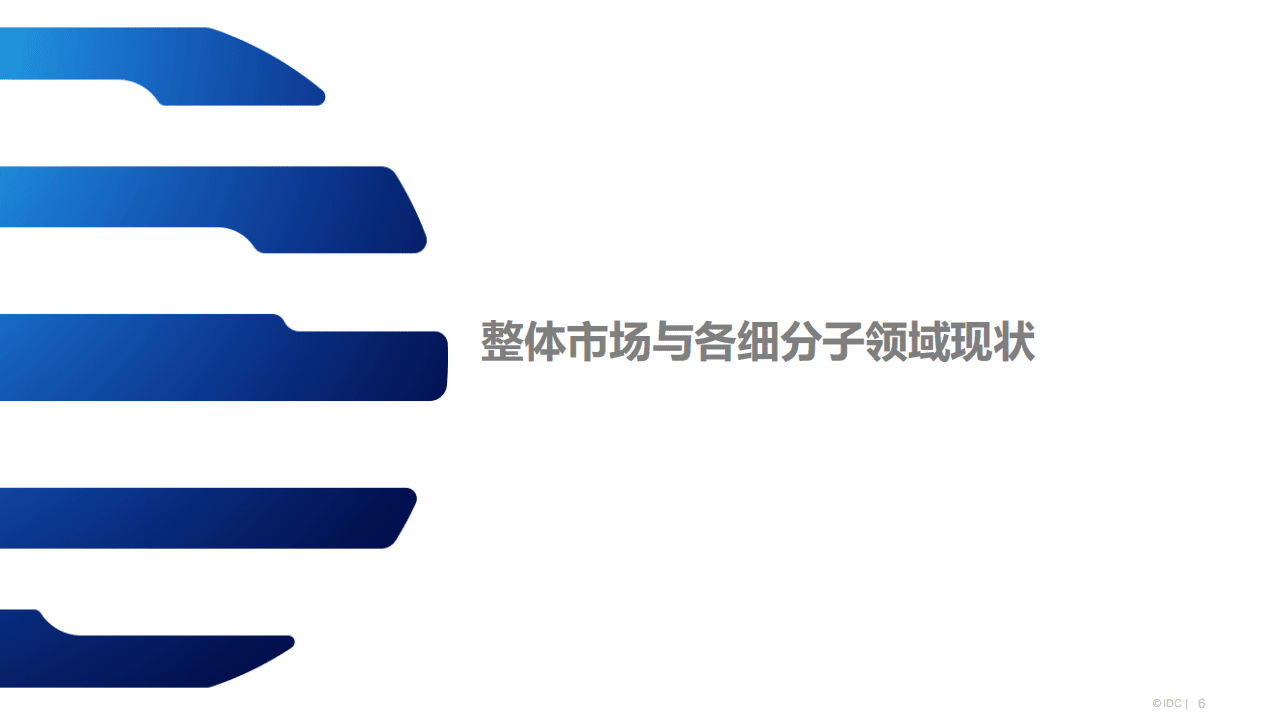 IDC：中国网络安全市场分析(2020).pdf 第6页