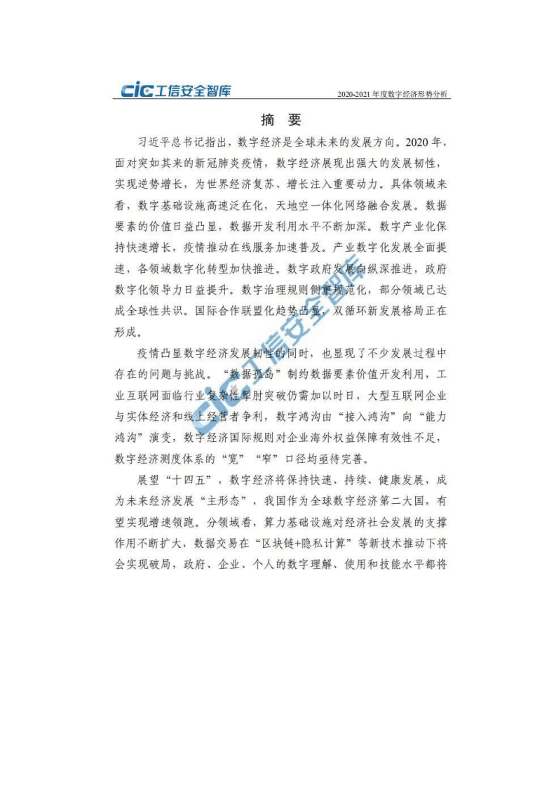 工信安全智库：2020-2021年度数字经济形势分析.pdf 第3页