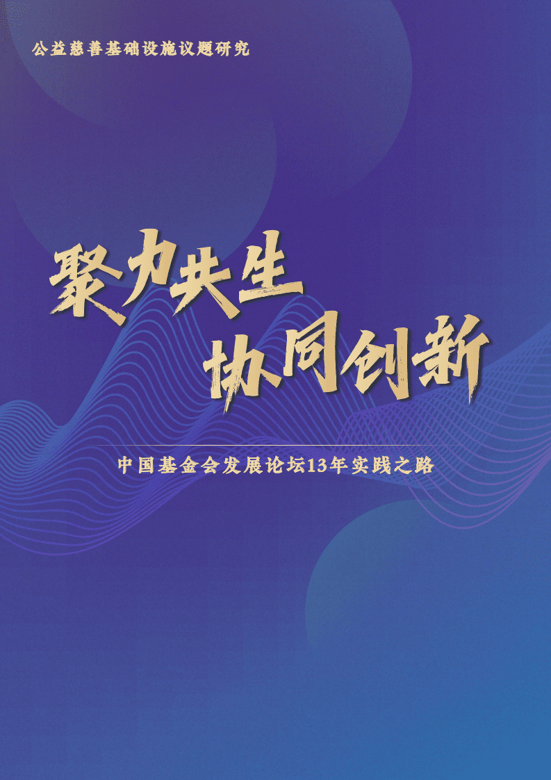 公益慈善基础设施议题研究：中国基金会发展论坛13年实践之路.pdf 第1页