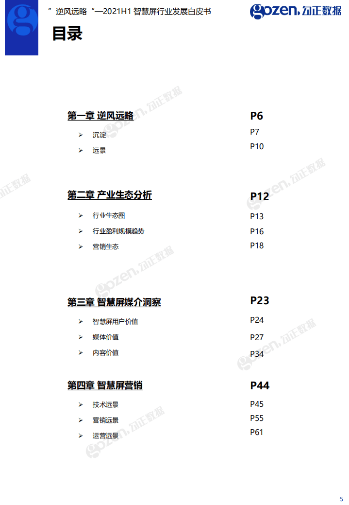 勾正数据：2021H1智慧屏行业发展白皮书.pdf 第5页