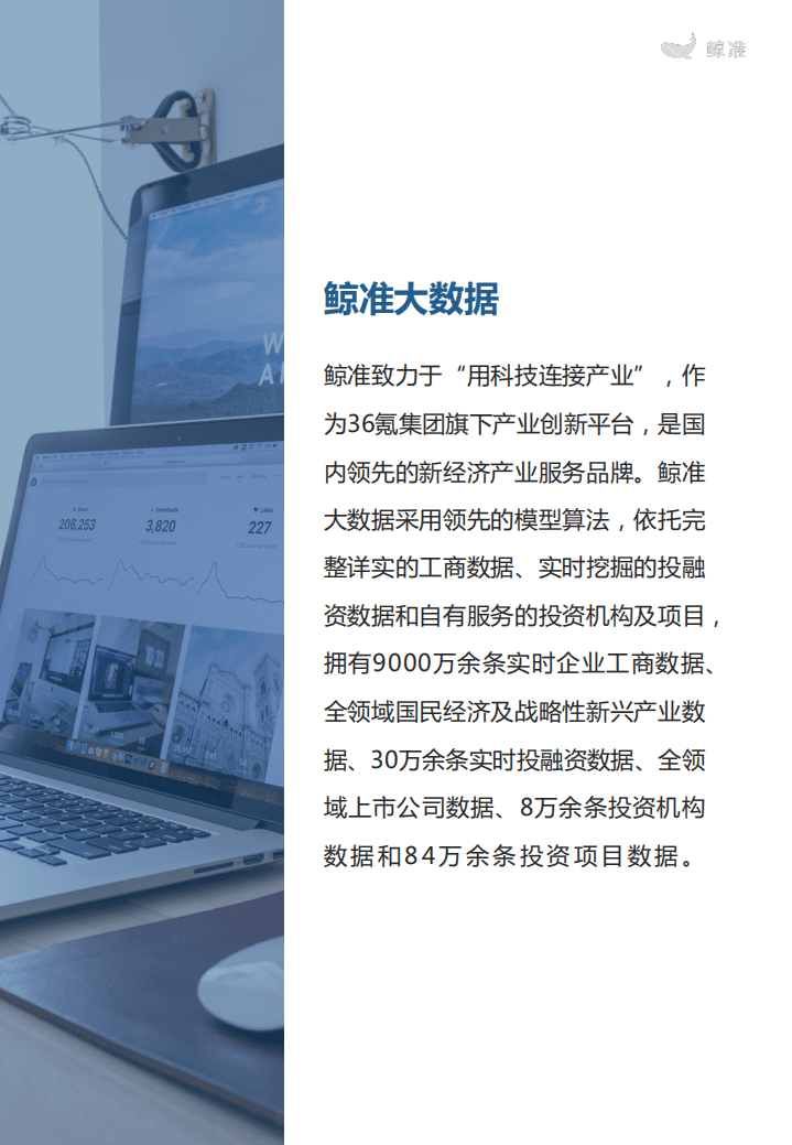 鲸准：2021区域经济白皮书.pdf 第4页