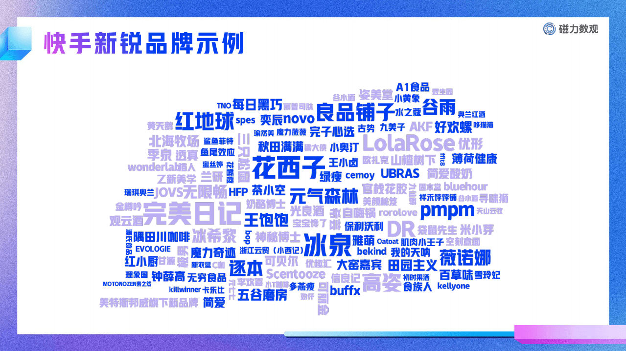 快手&磁力引擎：快手新锐品牌用户洞察.pdf 第5页