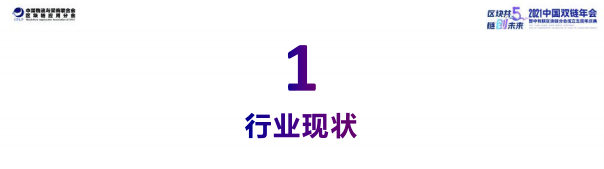 潘海洪：2021全国双链发展报告.pdf 第4页