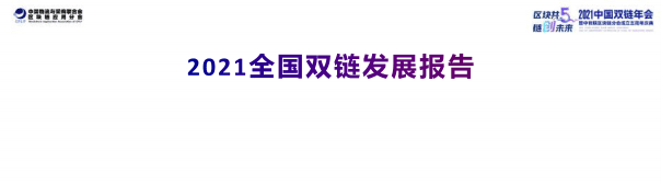潘海洪：2021全国双链发展报告.pdf 第2页