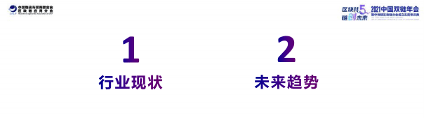 潘海洪：2021全国双链发展报告.pdf 第3页
