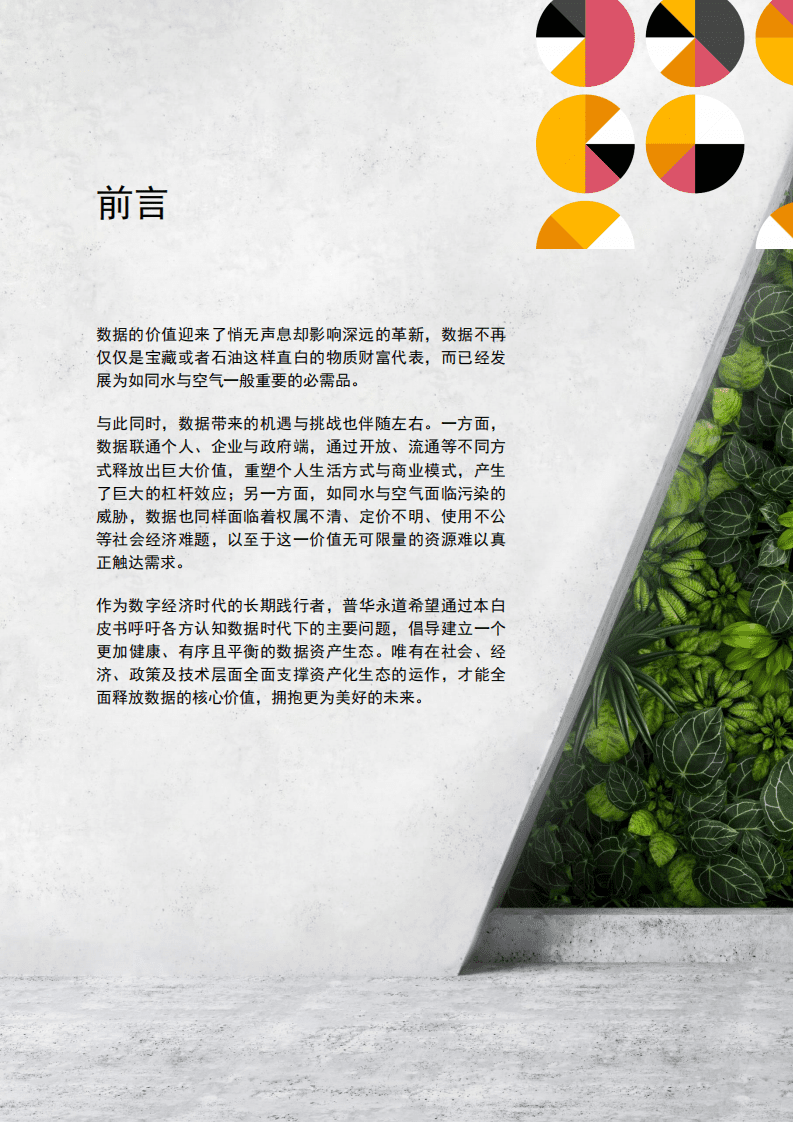 普华永道：数据资产生态白皮书.pdf 第2页