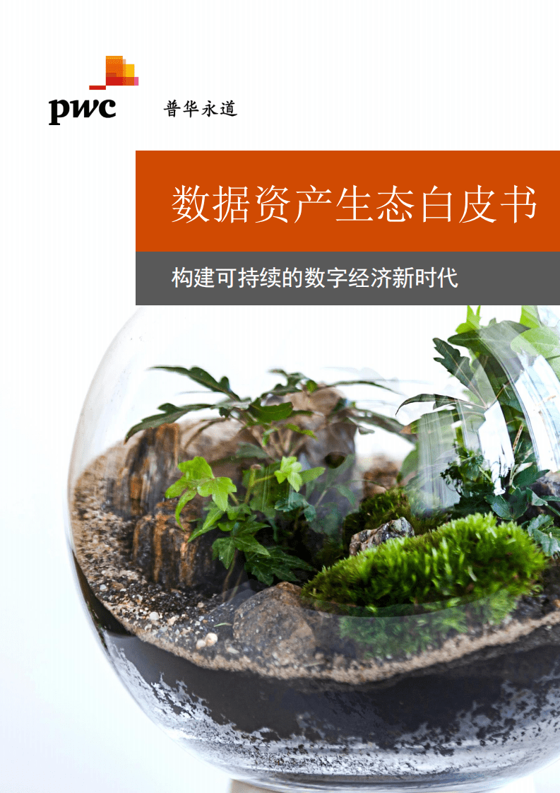 普华永道：数据资产生态白皮书.pdf 第1页