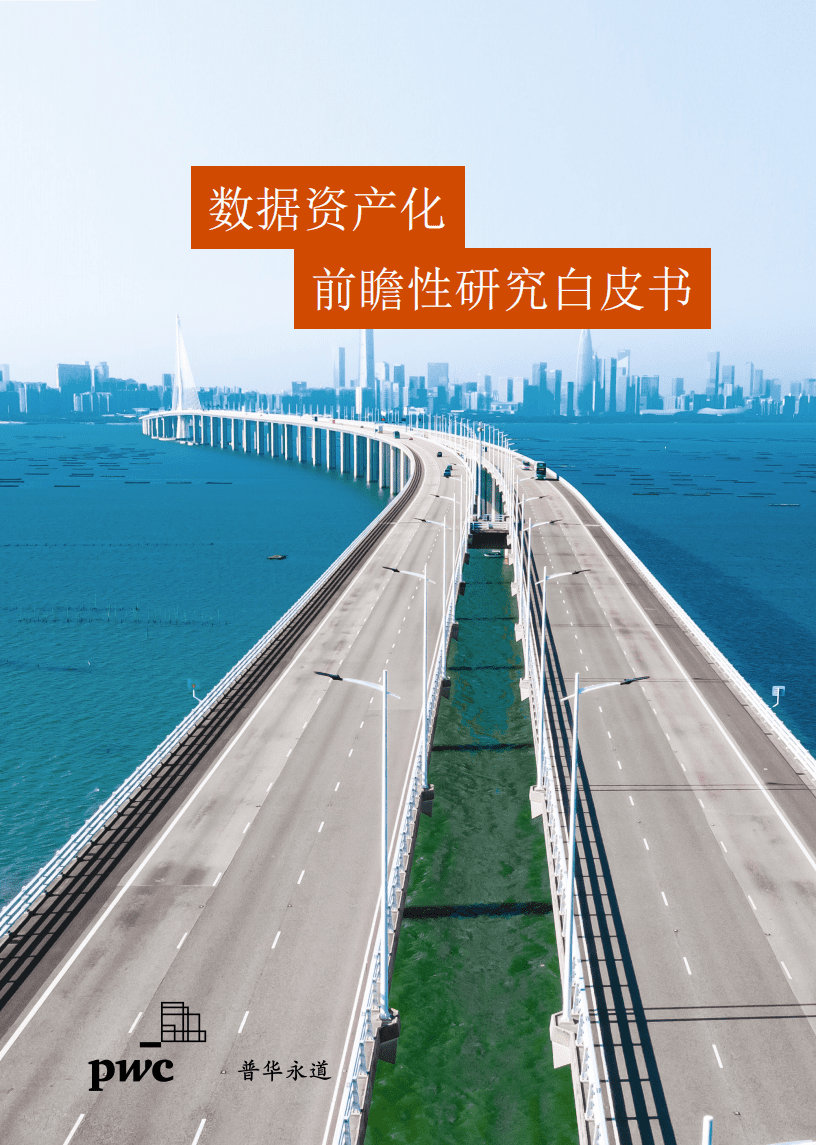 普华永道：数据资产化前瞻性研究白皮书.pdf 第1页