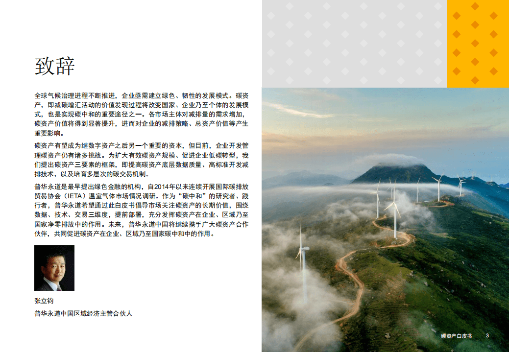 普华永道：碳资产白皮书.pdf 第3页