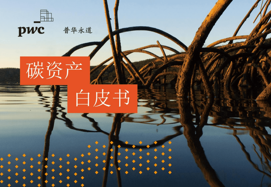 普华永道：碳资产白皮书.pdf 第1页