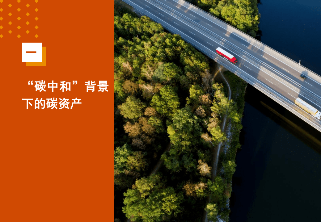 普华永道：碳资产白皮书.pdf 第5页