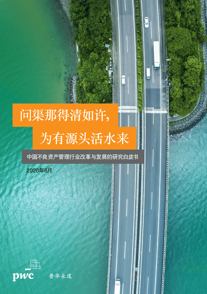 普华永道：中国不良资产管理行业改革与发展的研究白皮书：问渠那得清如许，为有源头活水来.pdf 第1页