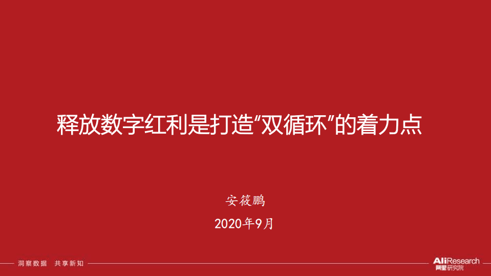 阿里研究院安筱鹏：释放数字红利是打造双循环的着力点(简化版).pdf 第1页