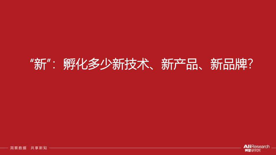 阿里研究院安筱鹏：释放数字红利是打造双循环的着力点(简化版).pdf 第6页