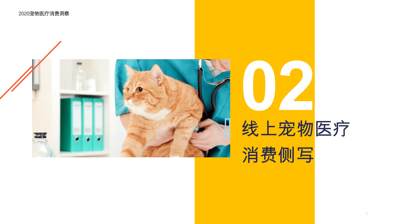 2020宠物医疗消费洞察报告.pdf 第6页