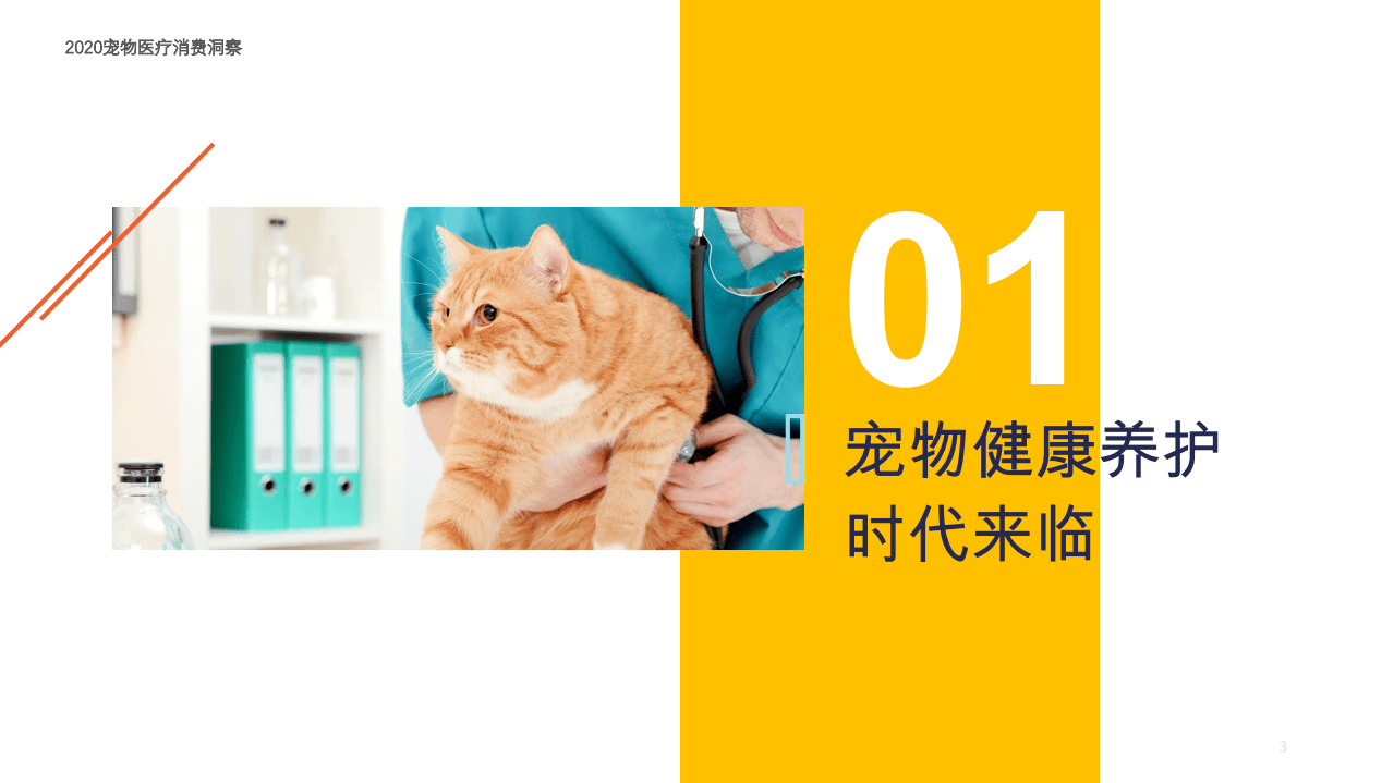 2020宠物医疗消费洞察报告.pdf 第3页
