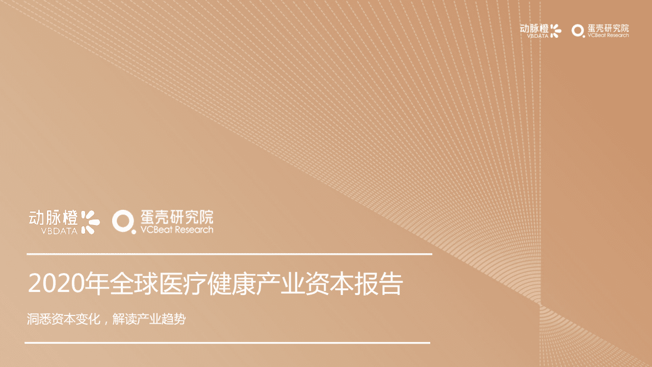 蛋壳研究院：2020年全球医疗健康产业资本报告.pdf 第1页