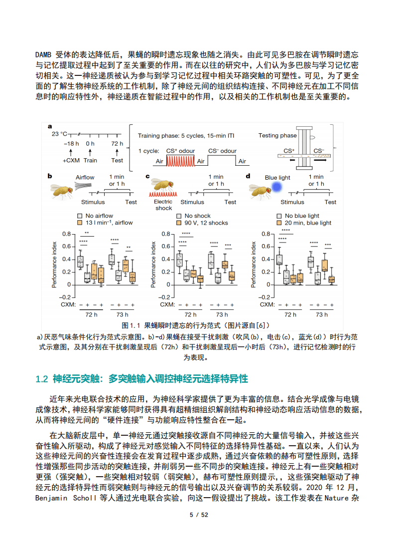 北京智源人工智能研究院：2020年人工智能的认知神经基础白皮书.pdf 第6页