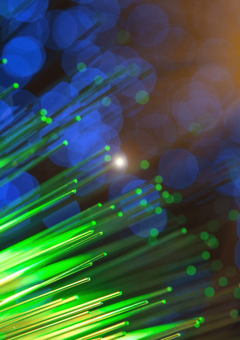 德勤：数字化赋能，间接采购再升级的必由之路.pdf 第2页