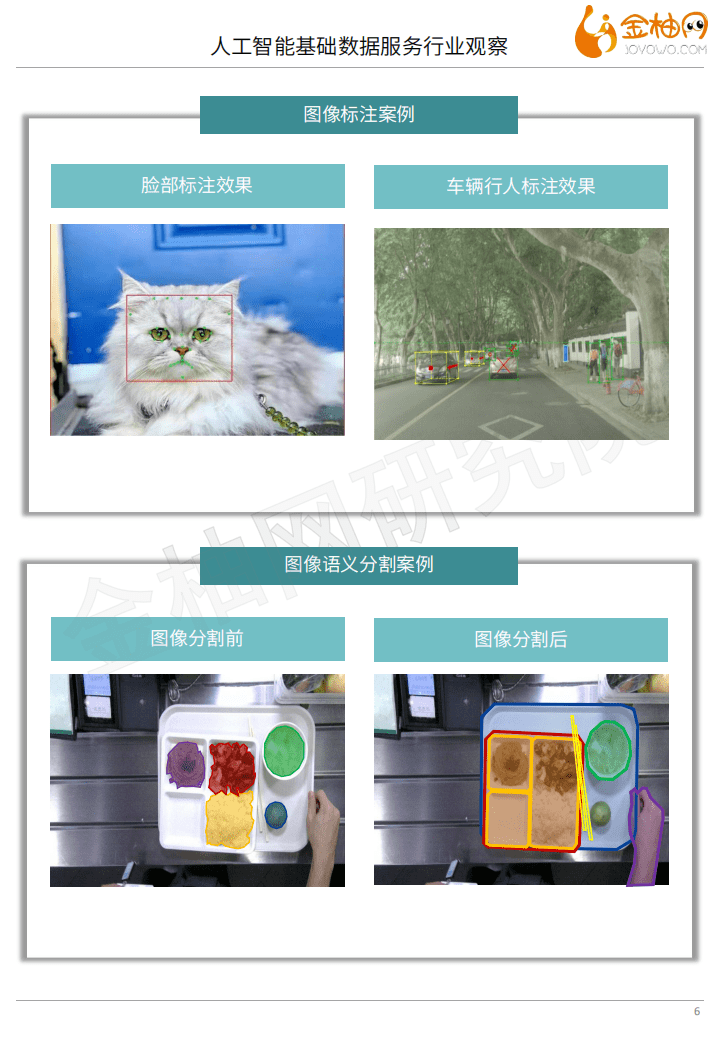 金柚网：人工智能基础数据服务行业观察.pdf 第6页