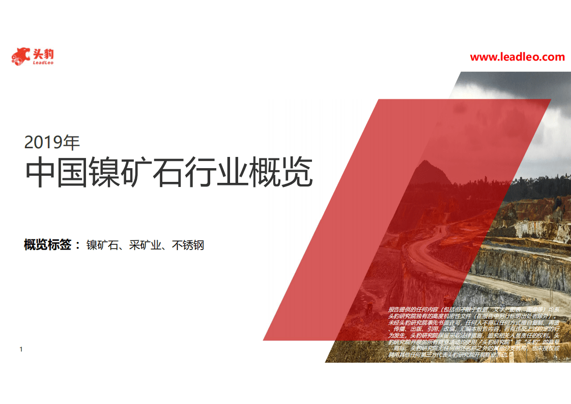 头豹研究院：2019年中国镍矿石行业概览.pdf 第1页