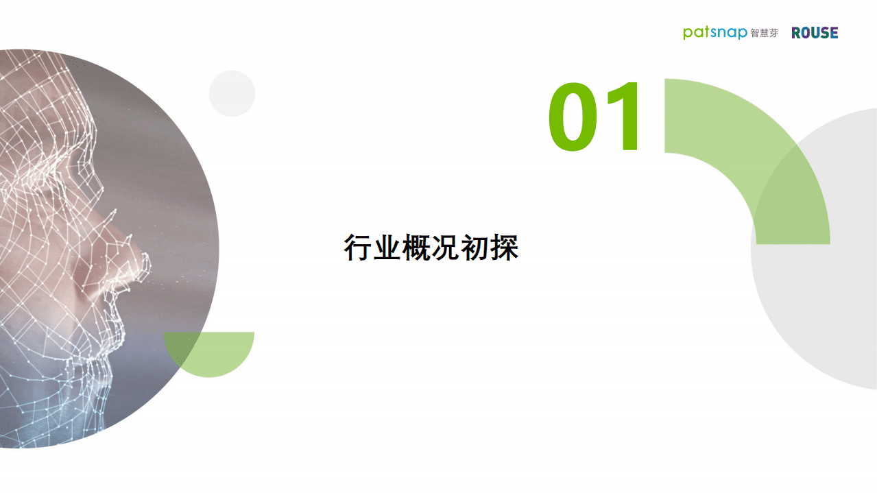 智慧芽：2021人脸识别行业白皮书.pdf 第3页