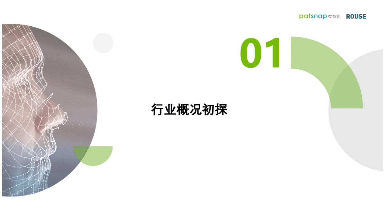 智慧芽&罗思咨询：2021年人脸识别行业报告.pdf 第3页