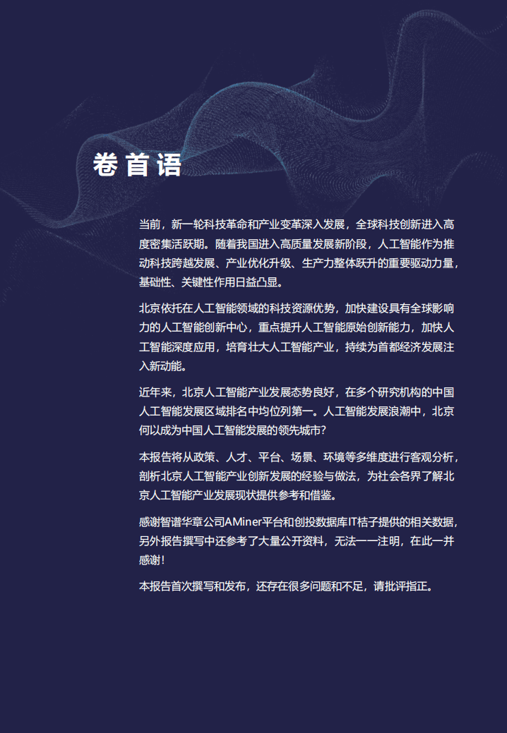 智源研究院：2020北京人工智能发展报告.pdf 第2页