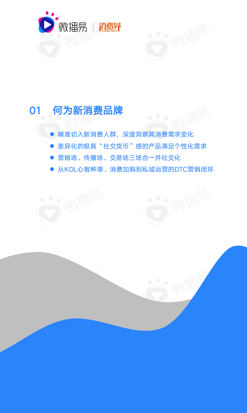 微播易：2021中国新消费品牌社媒营销研究报告.pdf 第4页
