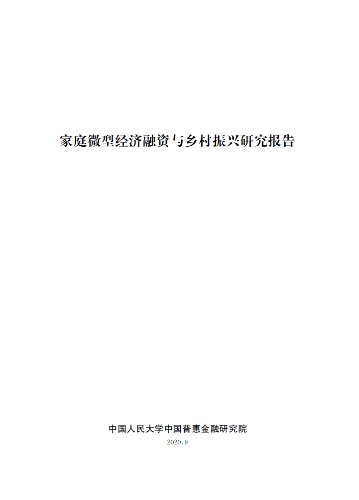 人民大学：家庭微型经济融资与乡村振兴研究报告.pdf 第2页