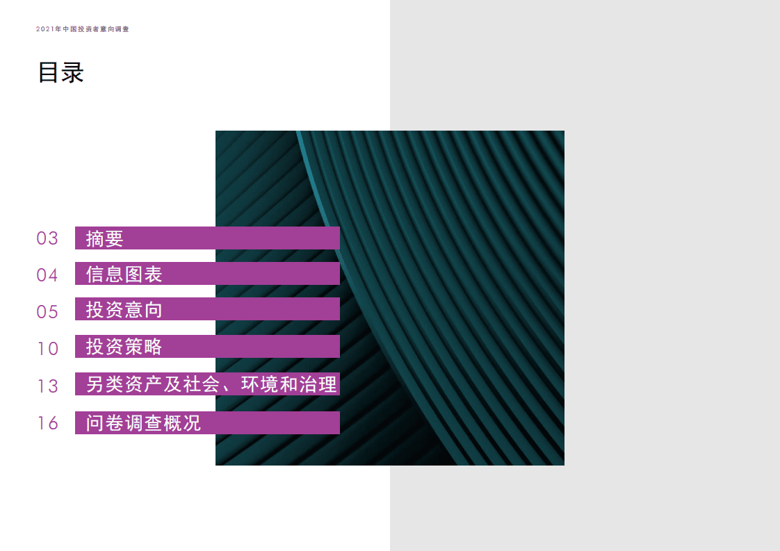 世邦魏理仕：2021年中国投资者意向调查报告.pdf 第2页