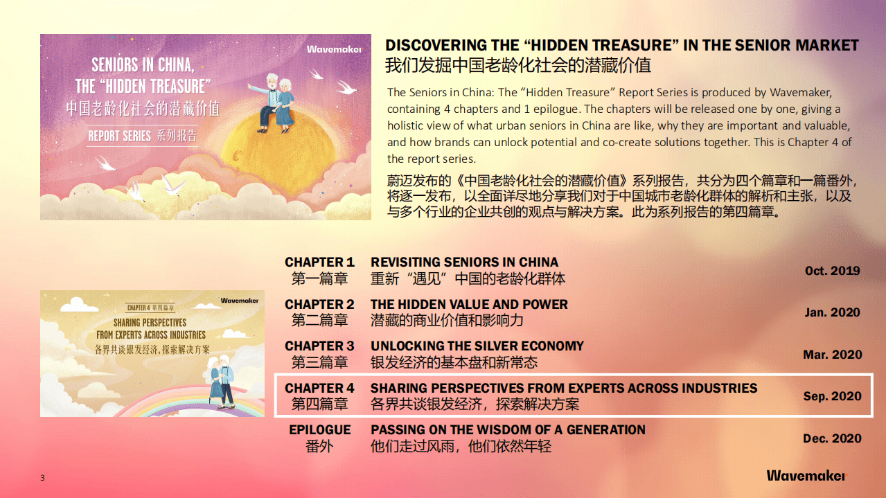 蔚迈：中国老龄化社会潜藏价值——产业价值篇.pdf 第3页