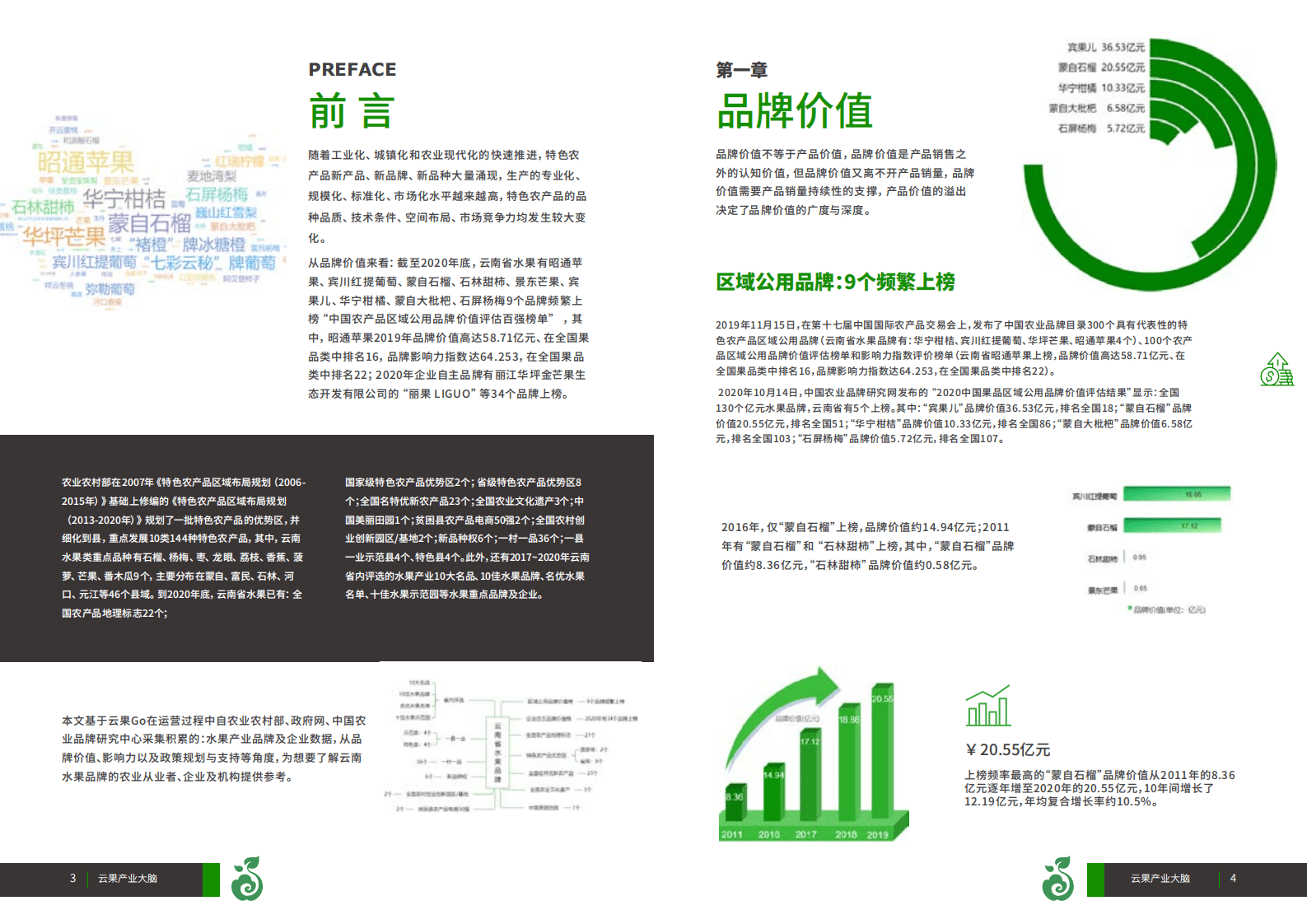 云果：2011-2020年云南省水果品牌数据盘点.pdf 第3页