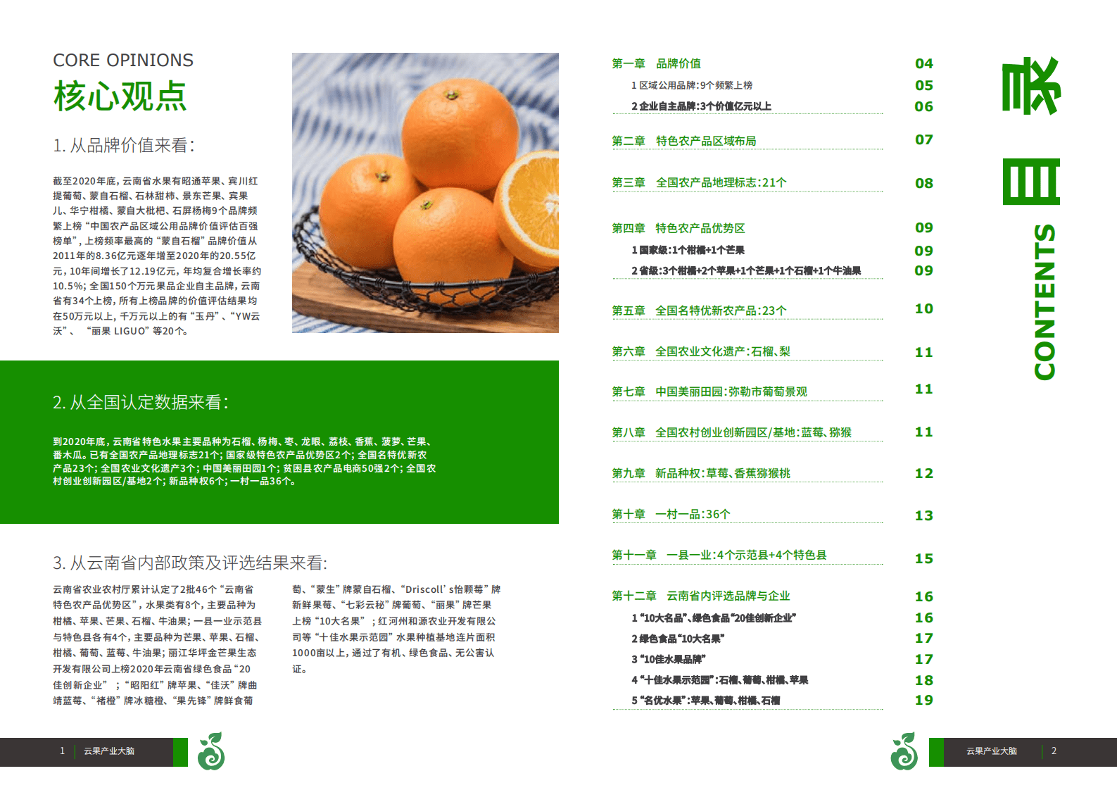 云果：2011-2020年云南省水果品牌数据盘点.pdf 第2页