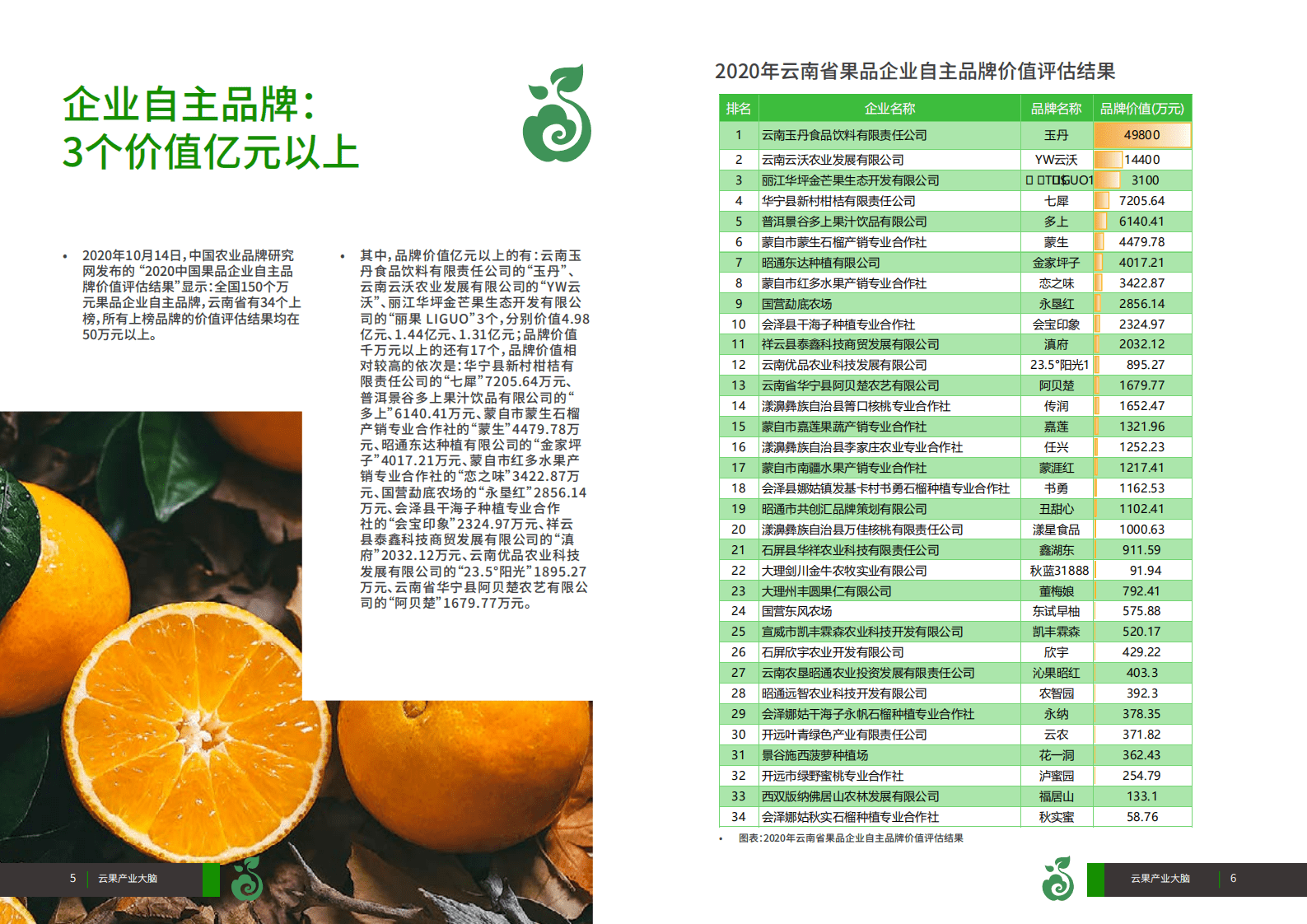 云果：2011-2020年云南省水果品牌数据盘点.pdf 第4页